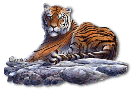 тигр анимация, большая кошка
