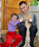 кошка мейн кун общается с ребёнком и др гостями