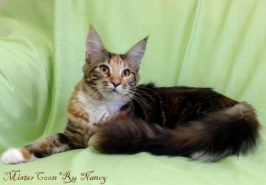 Nancy9m 02