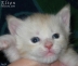 elton3n_02