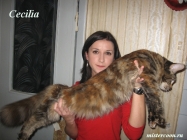 cecilia_6m1