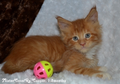 Casper 1.3 03