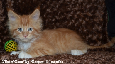 Casper 2.1 01