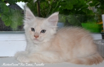 female Zena.7w 02 mistercoon ru