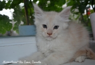 female Zena.7w 03 mistercoon ru